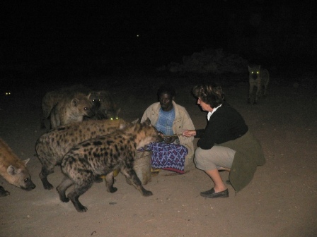 Hyena Feeding