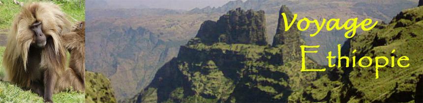 Un Gelada qui admire le Montagnes du Simien